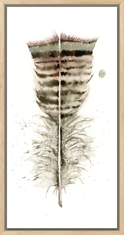 Image of a feather watercolor painting by Shayna Larsen, originals & prints available