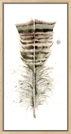 Image of a feather watercolor painting by Shayna Larsen, originals & prints available