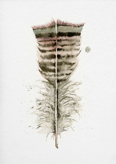 Image of a feather watercolor painting by Shayna Larsen, originals & prints available