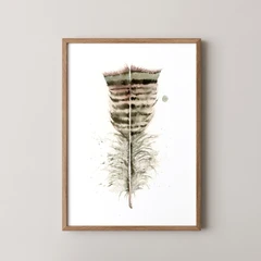 Image of a feather watercolor painting by Shayna Larsen, originals & prints available