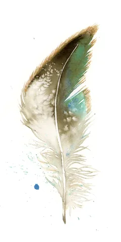 Image of a feather watercolor painting by Shayna Larsen, originals & prints available