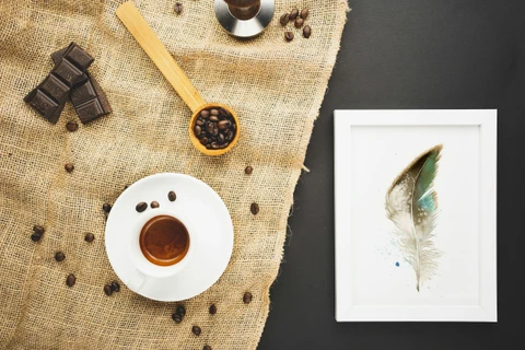 Image of a feather watercolor painting by Shayna Larsen, originals & prints available