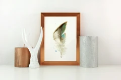 Image of a feather watercolor painting by Shayna Larsen, originals & prints available