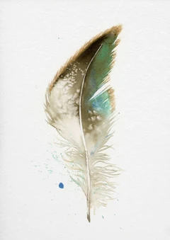 Image of a feather watercolor painting by Shayna Larsen, originals & prints available