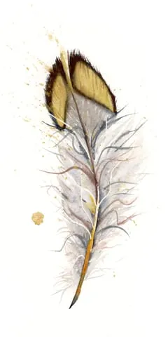 Image of a feather watercolor painting by Shayna Larsen, originals & prints available