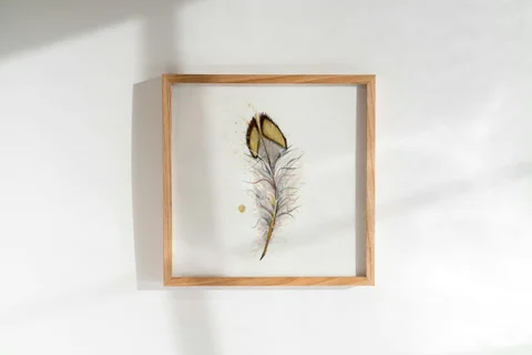 Image of a feather watercolor painting by Shayna Larsen, originals & prints available
