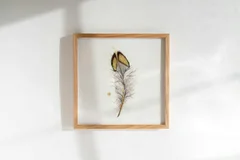 Image of a feather watercolor painting by Shayna Larsen, originals & prints available