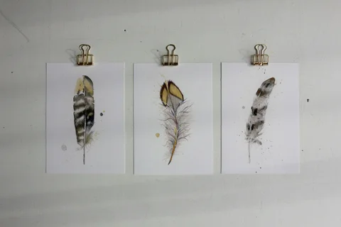Image of a feather watercolor painting by Shayna Larsen, originals & prints available