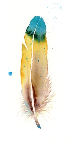 Image of a feather watercolor painting by Shayna Larsen, originals & prints available