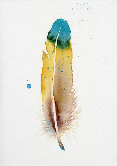 Image of a feather watercolor painting by Shayna Larsen, originals & prints available