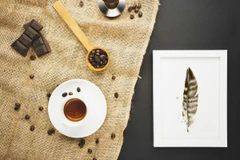 Image of a feather watercolor painting by Shayna Larsen, originals & prints available
