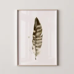 Image of a feather watercolor painting by Shayna Larsen, originals & prints available