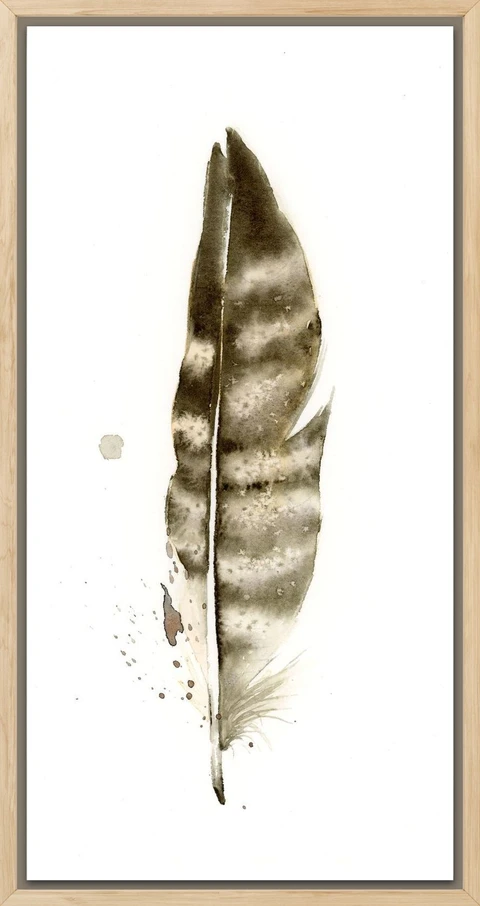 Image of a feather watercolor painting by Shayna Larsen, originals & prints available