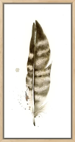 Image of a feather watercolor painting by Shayna Larsen, originals & prints available