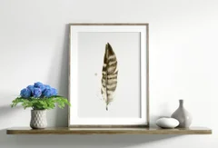 Image of a feather watercolor painting by Shayna Larsen, originals & prints available