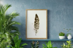 Image of a feather watercolor painting by Shayna Larsen, originals & prints available