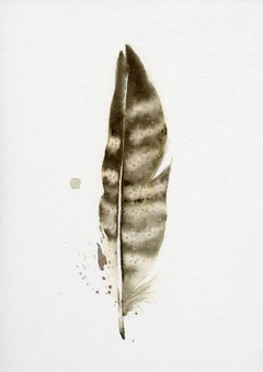 Image of a feather watercolor painting by Shayna Larsen, originals & prints available