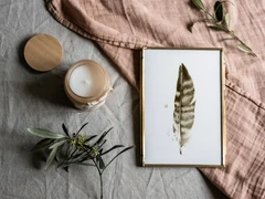 Image of a feather watercolor painting by Shayna Larsen, originals & prints available