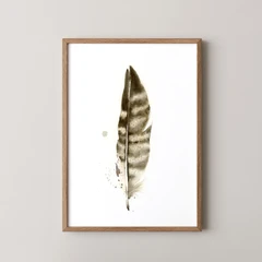 Image of a feather watercolor painting by Shayna Larsen, originals & prints available
