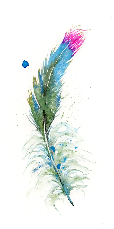 Image of a feather watercolor painting by Shayna Larsen, originals & prints available