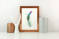 Image of a feather watercolor painting by Shayna Larsen, originals & prints available