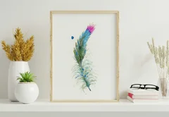 Image of a feather watercolor painting by Shayna Larsen, originals & prints available