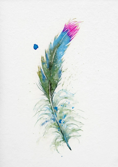 Image of a feather watercolor painting by Shayna Larsen, originals & prints available