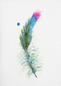 Image of a feather watercolor painting by Shayna Larsen, originals & prints available