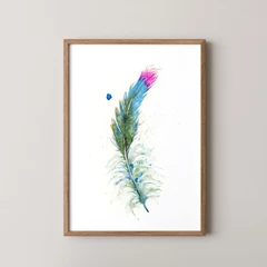 Image of a feather watercolor painting by Shayna Larsen, originals & prints available