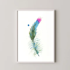 Image of a feather watercolor painting by Shayna Larsen, originals & prints available