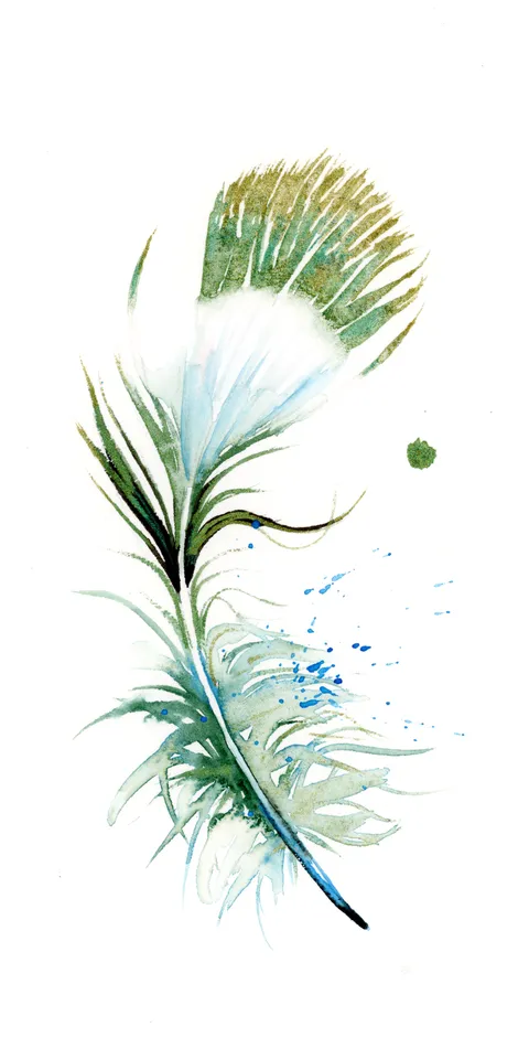 Image of a feather watercolor painting by Shayna Larsen, originals & prints available