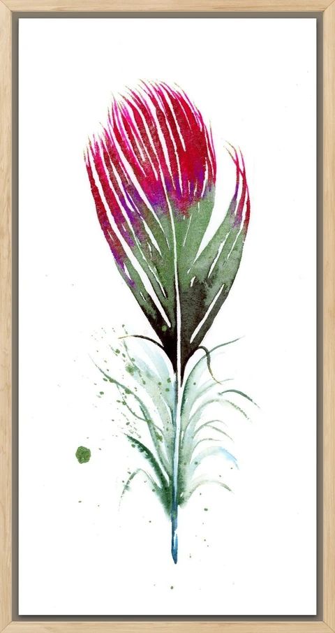 Image of a feather watercolor painting by Shayna Larsen, originals & prints available