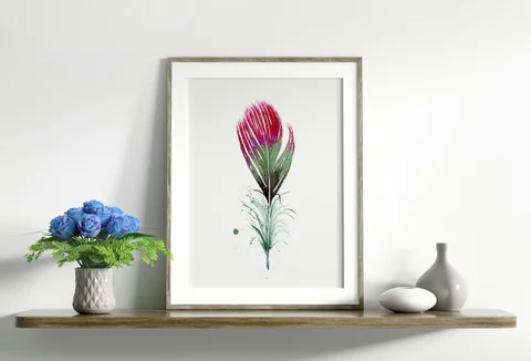 Image of a feather watercolor painting by Shayna Larsen, originals & prints available