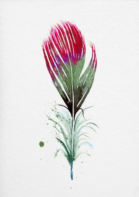 Image of a feather watercolor painting by Shayna Larsen, originals & prints available