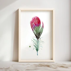 Image of a feather watercolor painting by Shayna Larsen, originals & prints available