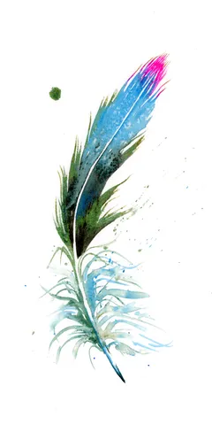 Image of a feather watercolor painting by Shayna Larsen, originals & prints available