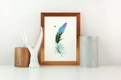 Image of a feather watercolor painting by Shayna Larsen, originals & prints available