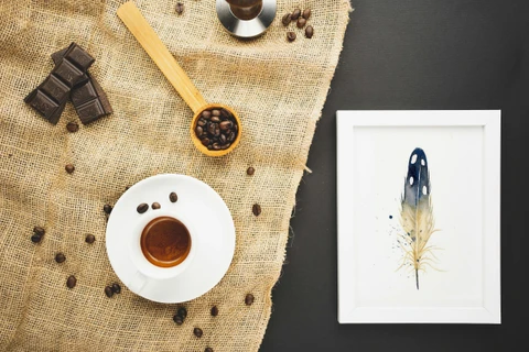Image of a feather watercolor painting by Shayna Larsen, originals & prints available