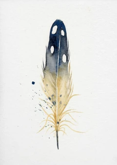 Image of a feather watercolor painting by Shayna Larsen, originals & prints available