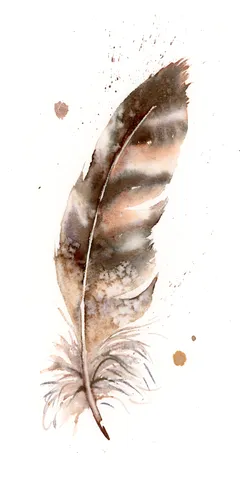Image of a feather watercolor painting by Shayna Larsen, originals & prints available