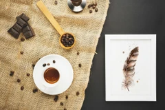 Image of a feather watercolor painting by Shayna Larsen, originals & prints available