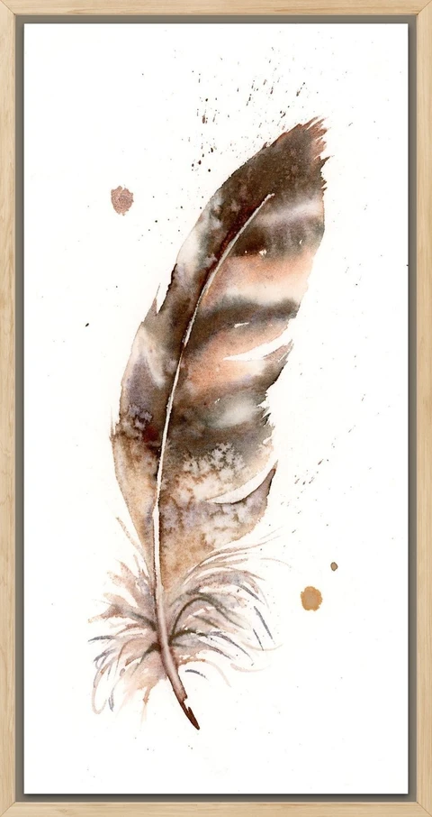Image of a feather watercolor painting by Shayna Larsen, originals & prints available