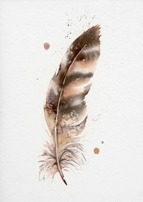 Image of a feather watercolor painting by Shayna Larsen, originals & prints available