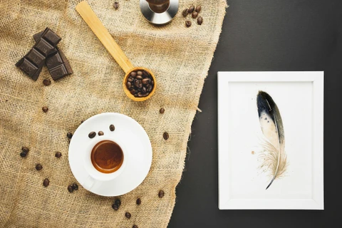 Image of a feather watercolor painting by Shayna Larsen, originals & prints available