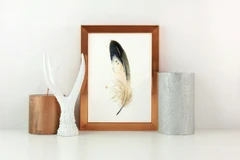 Image of a feather watercolor painting by Shayna Larsen, originals & prints available