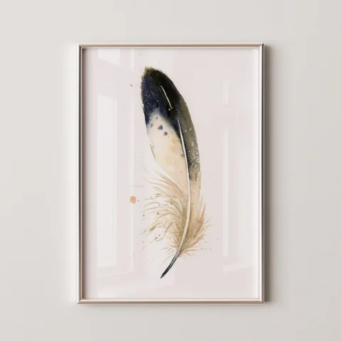 Image of a feather watercolor painting by Shayna Larsen, originals & prints available