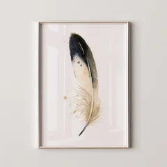 Image of a feather watercolor painting by Shayna Larsen, originals & prints available
