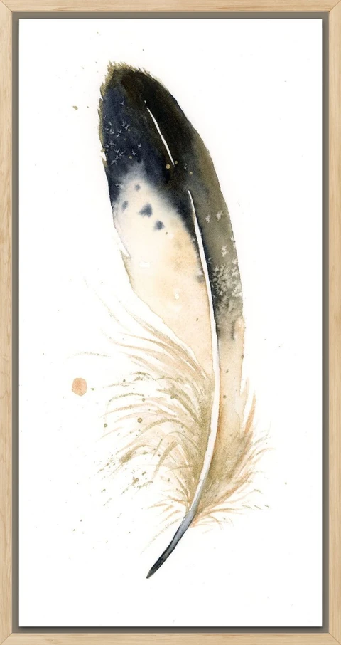 Image of a feather watercolor painting by Shayna Larsen, originals & prints available
