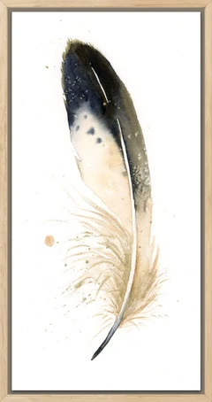 Image of a feather watercolor painting by Shayna Larsen, originals & prints available