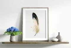 Image of a feather watercolor painting by Shayna Larsen, originals & prints available